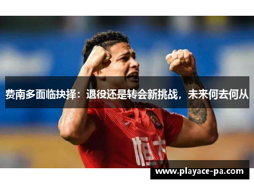 费南多面临抉择：退役还是转会新挑战，未来何去何从