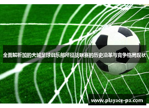 全面解析加的夫城足球俱乐部所征战联赛的历史沿革与竞争格局现状