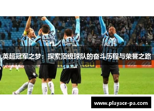 英超冠军之梦：探索顶级球队的奋斗历程与荣誉之路