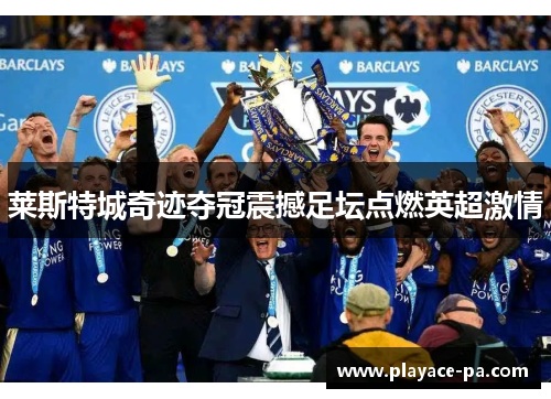 莱斯特城奇迹夺冠震撼足坛点燃英超激情 莱斯特城奇迹夺冠震撼足坛点燃英超激情