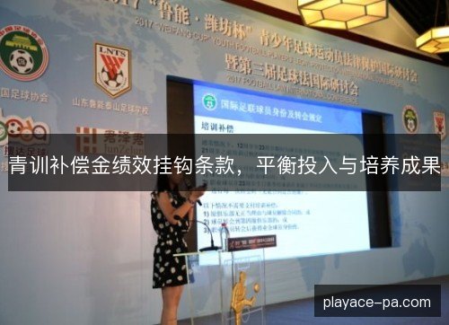 青训补偿金绩效挂钩条款,平衡投入与培养成果 青训补偿金绩效挂钩条款,平衡投入与培养成果